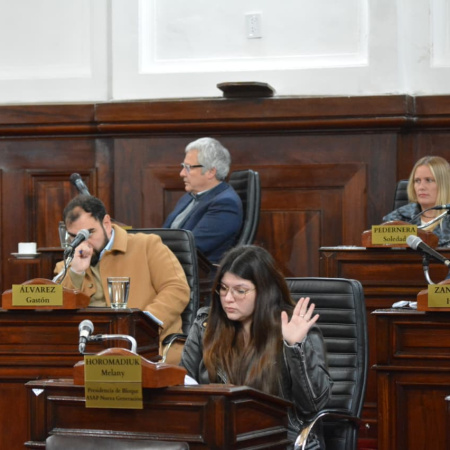 Parque Saavedra: el Concejo dio luz verde a su puesta en valor