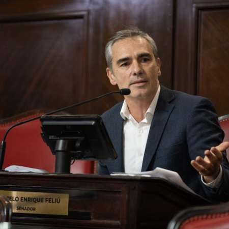 Feliú presentó un proyecto para crear juicios rápidos y gratuitos por conflictos vecinales en la Provincia