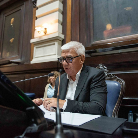 Dichiara impulsa beneficios fiscales permanentes para el sudoeste bonaerense