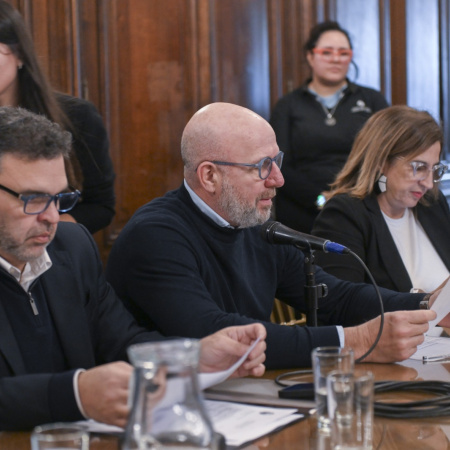 La Legislatura porteña debatió parto respetado y menopausia