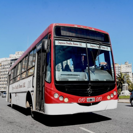 Impulsan pictogramas en colectivos de Mar del Plata para personas con TEA y otras discapacidades