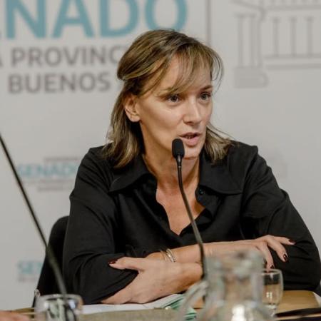 Impulsan en el Senado bonaerense una reforma para ampliar licencias por cuidado y teletrabajo