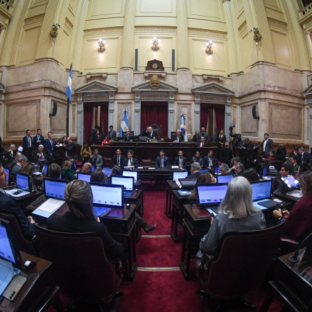 El Senado aprobó la ley de desalojos exprés del Gobierno, pero le bajó dos capítulos clave