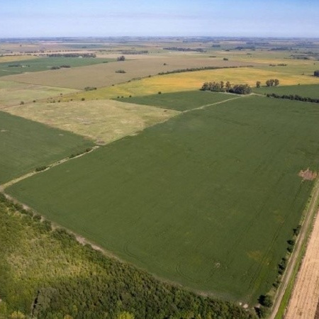 Campana y Zárate lideran la extranjerización de tierras en la provincia de Buenos Aires  