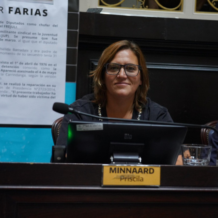 "Vulneración del capital intelectual": diputada radical criticó al Gobierno por el ajuste en CONICET