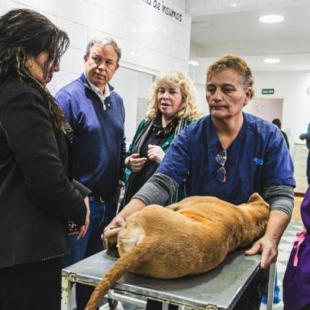 El modelo de Zoonosis Brown se replica en otros municipios
