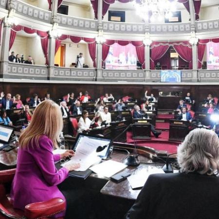 Avanzan proyectos sobre violencia digital y derechos de las personas con discapacidad