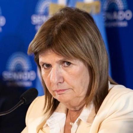 "La soberanía no está en peligro": Bullrich defendió la nueva Ley de Tierras