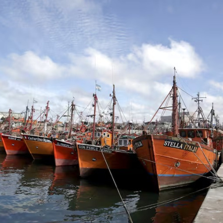 Pesca marplatense al borde del abismo: por qué se derrumbaron 80% las exportaciones desde el puerto