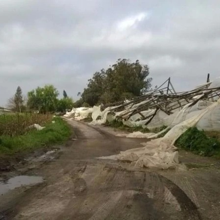 Cordón frutihortícola de Mar del Plata en alerta por El Niño: productores denuncian cinco años sin obras hidráulicas