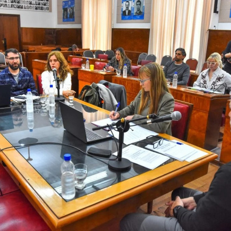 Alerta en Mar del Plata: el HIGA registró 153 ingresos por intentos de suicidio en nueve meses y crece la preocupación