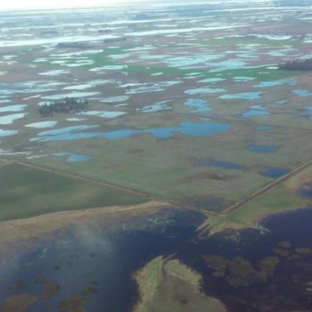 Daireaux: el agua frena la siembra y vuelve a poner al campo en alerta