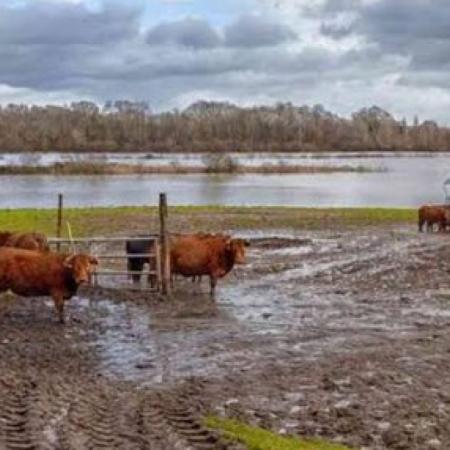 Emergencia agropecuaria en 9 de Julio y Necochea